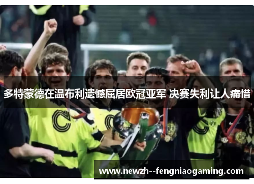 多特蒙德在温布利遗憾屈居欧冠亚军 决赛失利让人痛惜