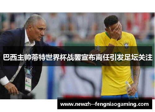 巴西主帅蒂特世界杯战罢宣布离任引发足坛关注 巴西主帅蒂特世界杯战罢宣布离任引发足坛关注