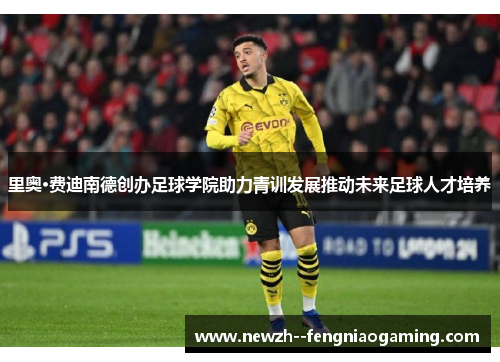 里奥·费迪南德创办足球学院助力青训发展推动未来足球人才培养