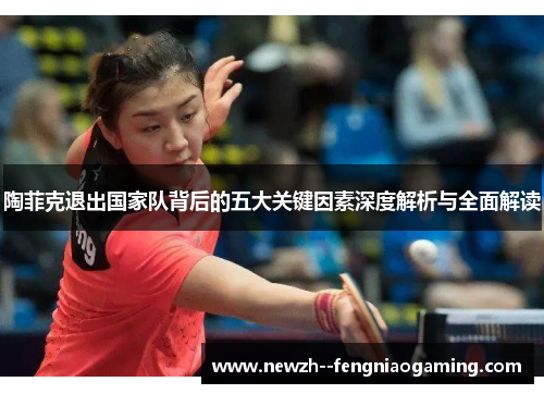 陶菲克退出国家队背后的五大关键因素深度解析与全面解读